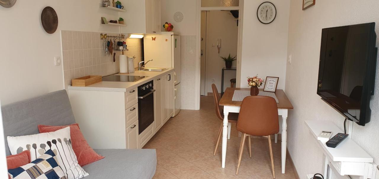 Apartament Romana With A Spacious Terrace